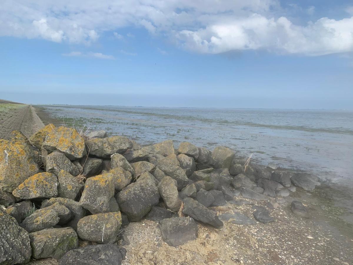 Chalet Seemowe Direkt Am Wattenmeer Aan De Waddenzee Nordsee 600 Meter Zum Badestrand, Angeln Lägenhet Westerland Exteriör bild