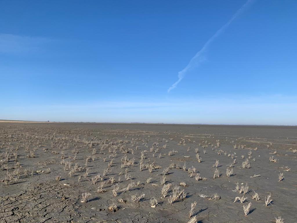 Chalet Seemowe Direkt Am Wattenmeer Aan De Waddenzee Nordsee 600 Meter Zum Badestrand, Angeln Lägenhet Westerland Exteriör bild