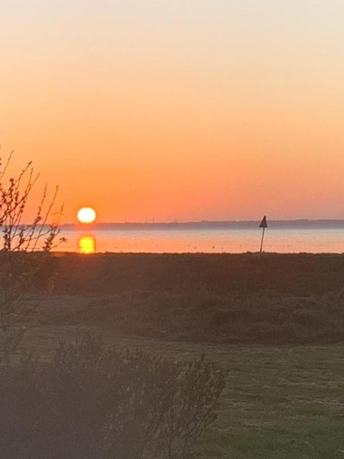 Chalet Seemowe Direkt Am Wattenmeer Aan De Waddenzee Nordsee 600 Meter Zum Badestrand, Angeln Lägenhet Westerland Exteriör bild